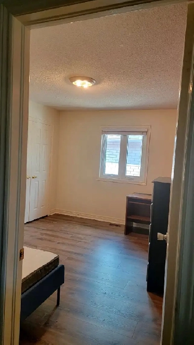 PRIVATE TOP-FLOOR room for rent: ideal for a FemaIe Image# 5