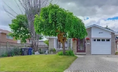 3B2b house in Scarborough for rent, basement not included Image# 4