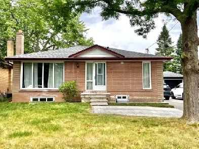 3 Bedroom Bungalow for Ren in High Demand Area of Richmond Hill Image# 10