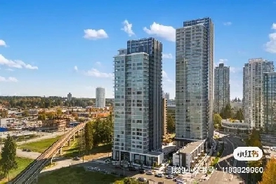 Surrey centre high rise apartment for rent Image# 1