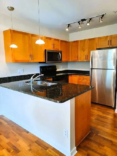 Bright & Sunny 3 bed, 2.5 baths Corner Unit w/ Private entrance Image# 1