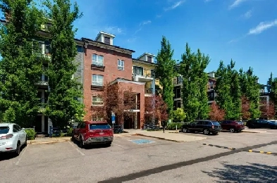 NEW PAINT  2 BEDROOMS & 2 BATHS  2 PARKING STALLS & STORAGE LO Image# 8