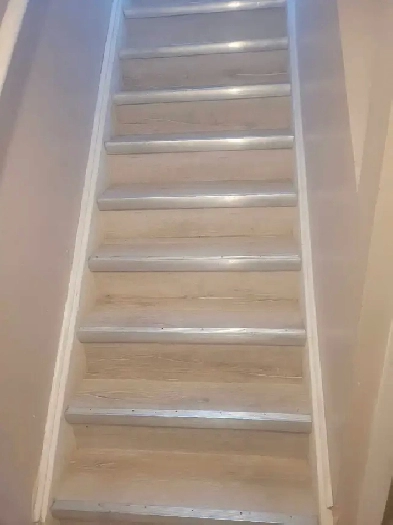 Basement for rent Image# 1