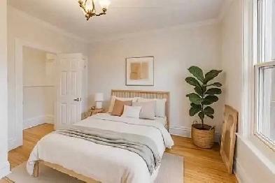 2 bedroom apartment for rent Image# 4