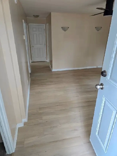 newly renovated close to downtown Image# 10