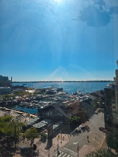 Downtown waterview sublet! Image# 11
