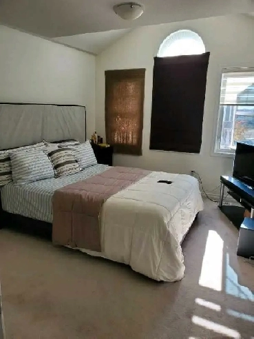 Large room for rent for male parking included - brampton Oct 1 Image# 1