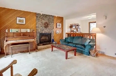 3 bedroom house with beautiful backyard Image# 3