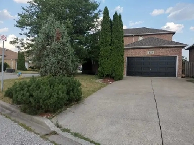 HOUSE FOR RENT IN SOUTH WINDSOR Image# 6