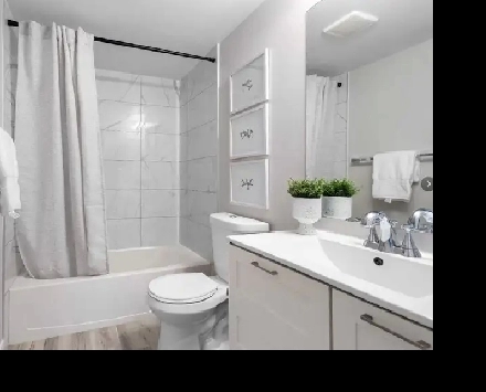 Massive 2 Bed, 2 Bath – Fully Renovated 1100 Sq Ft Apartment Image# 1