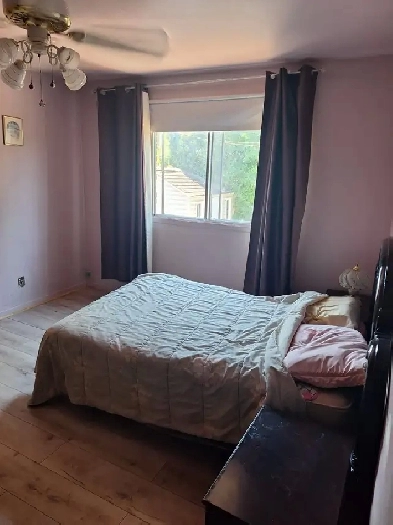 Chambre Image# 1