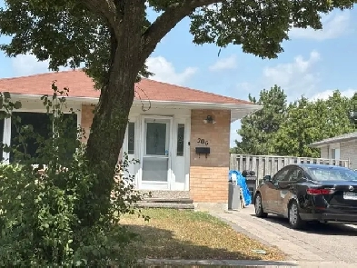 House for rent Image# 5
