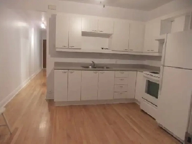 3 1/2 à louer rue Sherbrooke, Ville-Marie Est / Plateau Est Image# 2