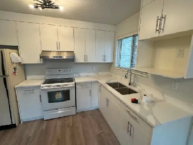 Basement suite for rent Image# 4