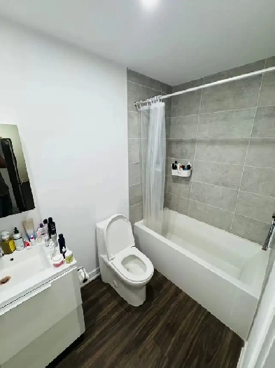 1 Bed 1 bath for rent for the mont of October Image# 4