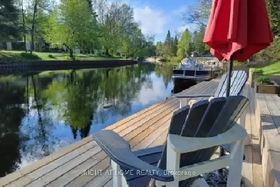 Four Season Cottage for Rent Image# 1