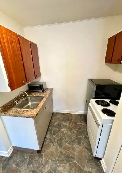 5min PARLIAMENT 1 BED APARTMENT FOR RENT HULL GATINEAU Image# 1