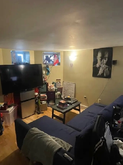 Studio/1 Bedroom available for sublet early November Image# 1