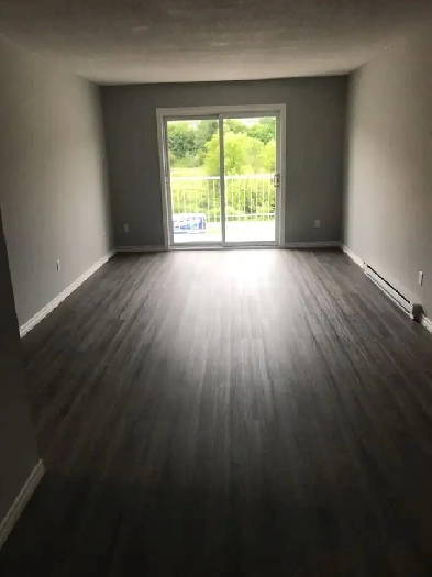 Appartement 2ch rénové - 15 septembre - Hull Image# 1