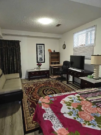 Furnished Bachelor/Studio Apt McCowan/Eglinton Image# 1