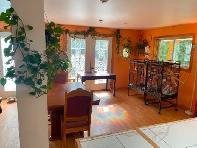 Maison a vendre ,petit coin de paradis ! Image# 2