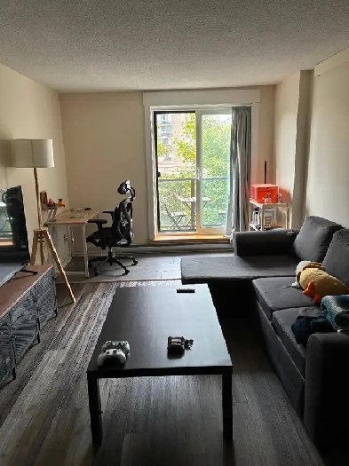 FURNISHED 1 BR APARTMENT LEASE TAKEOVER IN DOWNTOWN HALIFAX Image# 1