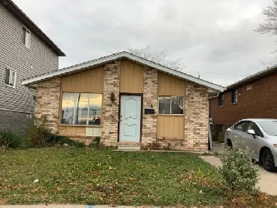 3 rooms for rent Image# 1