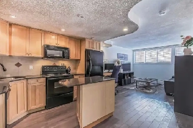 Furnished Cozy Beautiful Apartment Image# 1