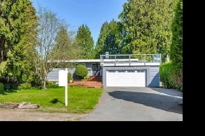 Main floor (3 bed/2 bath) house for rent in Tsawwassen $3390.00 Image# 1