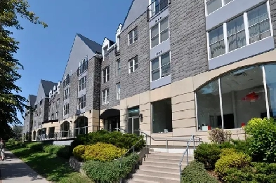 Huge Upscale South End 2 bedroom for October 1 Image# 9