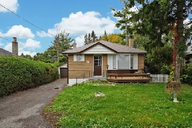 Bungalow 3 BR House for rent near 401 and Port union road Image# 1