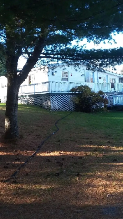 house for rent Image# 1