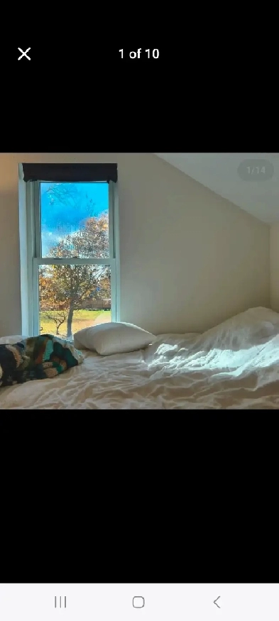 Furnished room Orillia - Oct 1! Image# 10