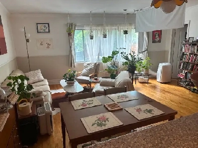 WINTER SUBLET (Dec 12 - March 12) - LARGE PLATEAU 4 1/2 Image# 4
