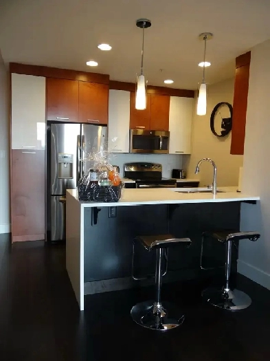 Fully furnished Executive 1 bdrm condo in SW Edmonton Image# 5