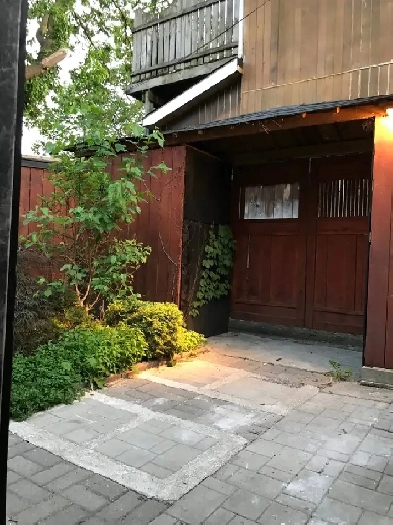 Beautifully renovated lower level unit in Trinity Bellwoods Image# 1