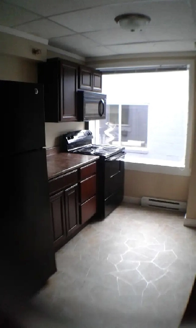 Downtown 1 Bed   Den available October 2025 Image# 3