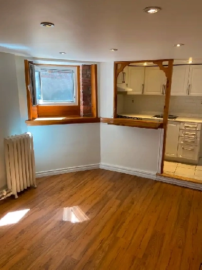 Bright 1 bedroom basement apartment - Little Portugal Image# 1