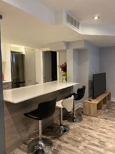 FURNISHED ONE BEDROOM APARTMENT Image# 1