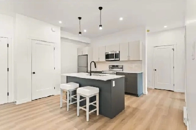 BRAND NEW Modern 2 bed   1 bath Apartment Image# 1