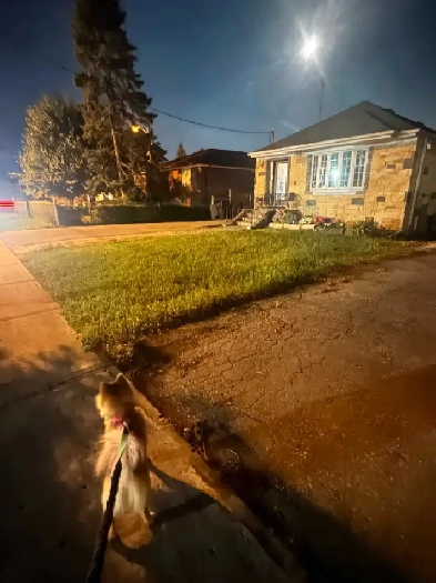 Fully furnished Basement available!! Image# 1