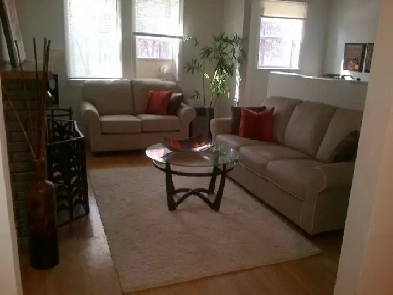 CLINTON APARTMENTS 185 VAUGHAN ST. LARGE FULLY RENOVATED STUDIOS Image# 1