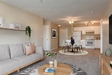 Modern Apartments with Gym! - Amberwynd Apartments - Apartment f Image# 7