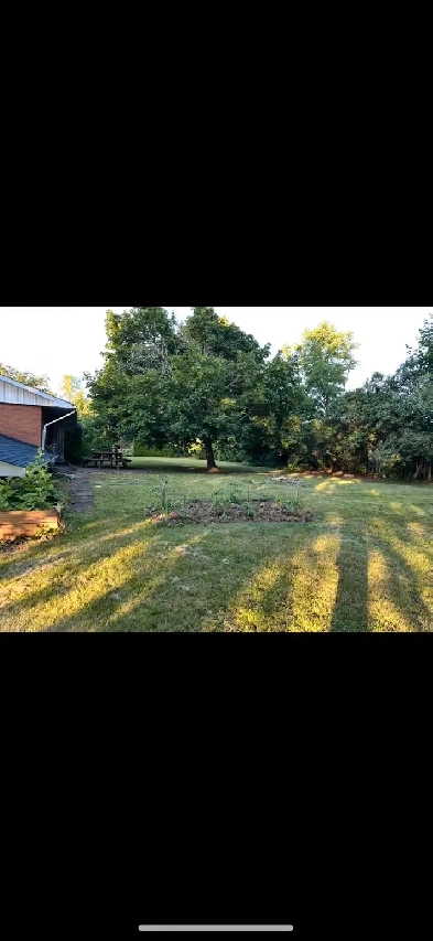 room for rent Image# 1