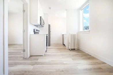 Newly Renovated 1 Bedroom Apartment! Available October 1st! Image# 6