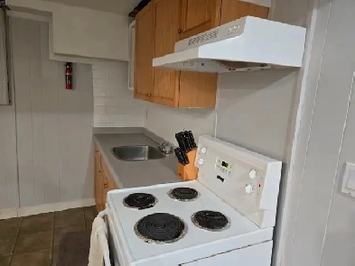 Bright Basement Bedroom Suite Image# 1