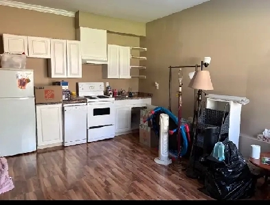 Coquitlam 2 Bdrm Basement Suite Avail now Image# 8