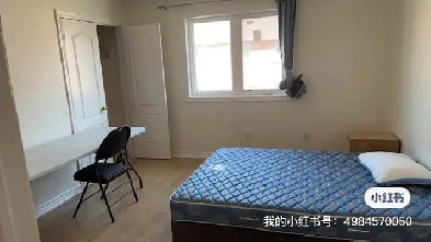 Ensuite Room for rent in Markham near Major Mac and Kennedy Image# 1