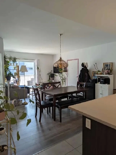 Appartement 4 1/2 à louer, Neufchâtel Image# 4