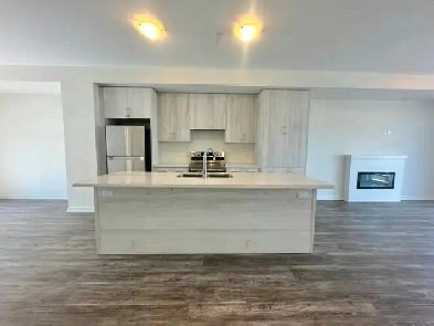New Construction Townhouse in Cambridge - Must See Image# 1